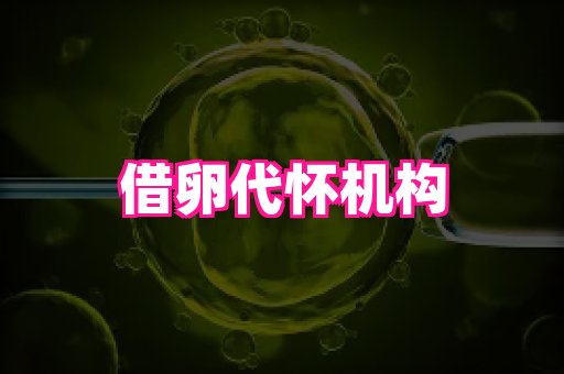 幸孕 2